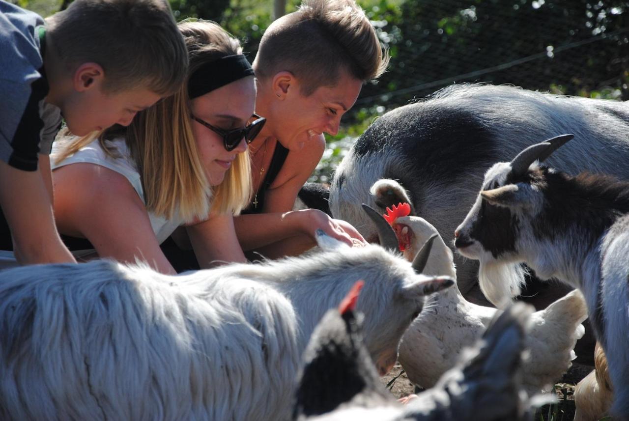 Hotel Delny Glamping And Farm Animals Invergordon Exterior foto