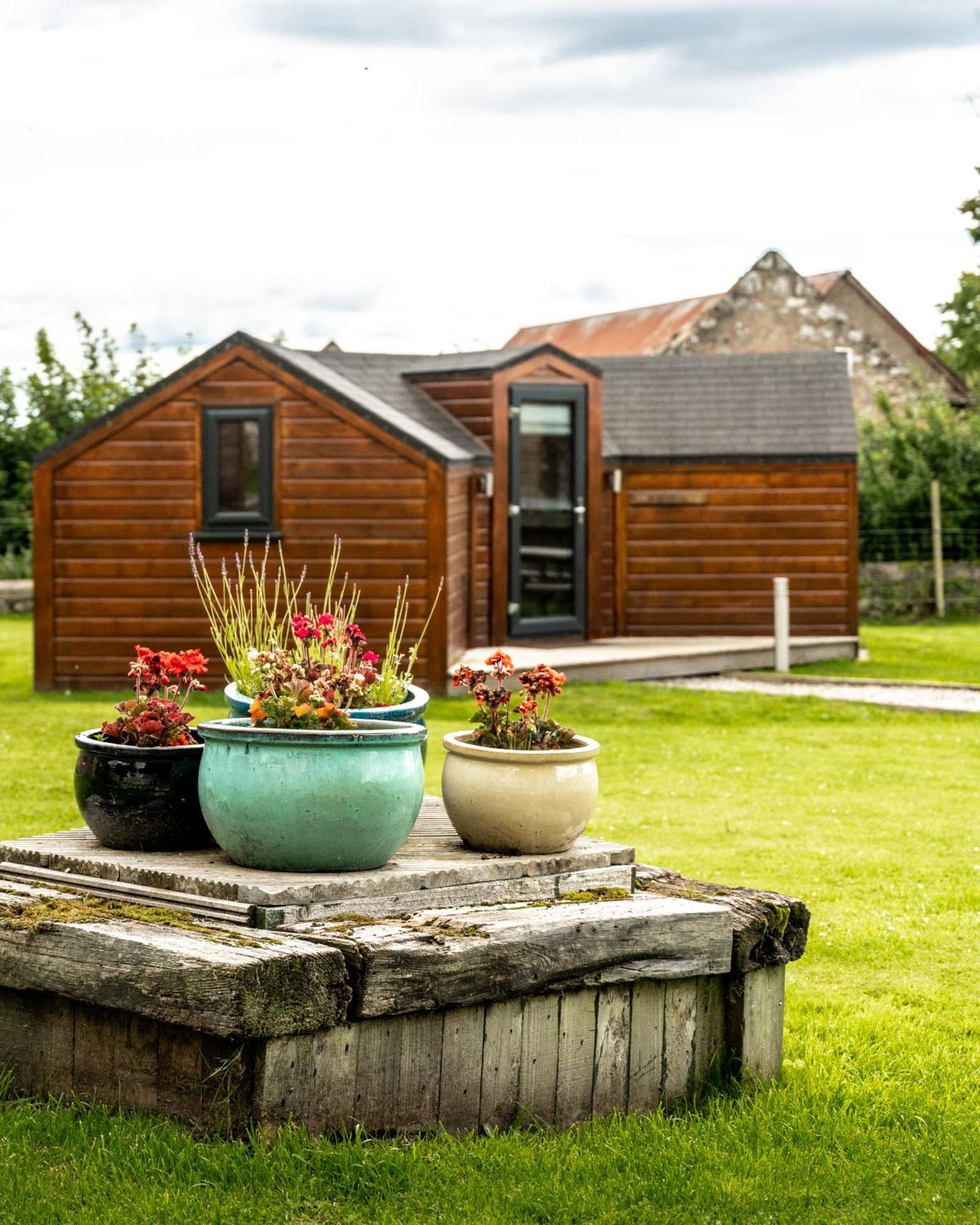 Hotel Delny Glamping And Farm Animals Invergordon Exterior foto